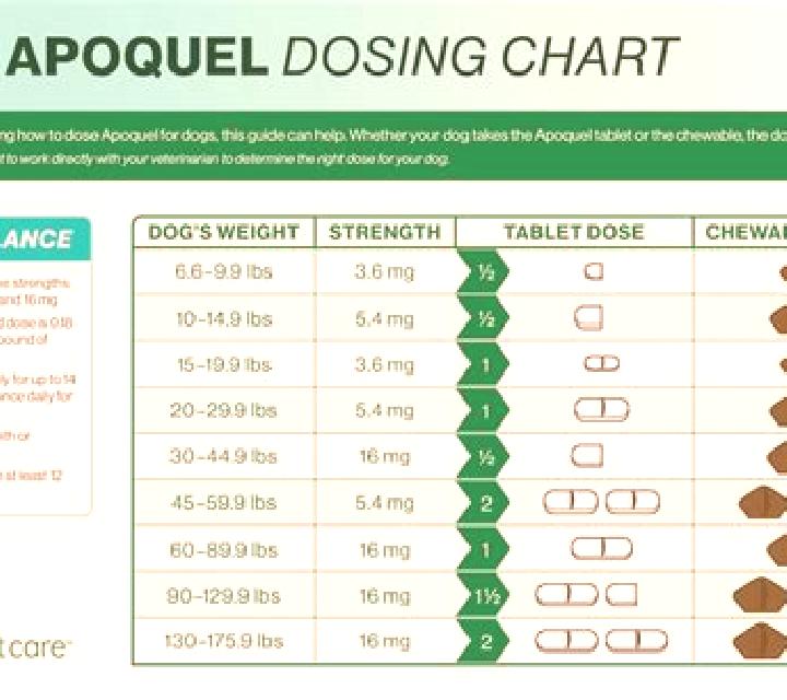 Flagyl flagyl dose for dogs chart medication