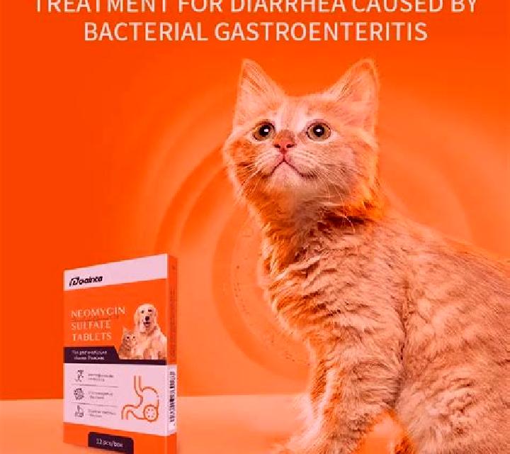 Flagyl flagyl kittens diarrhea medication