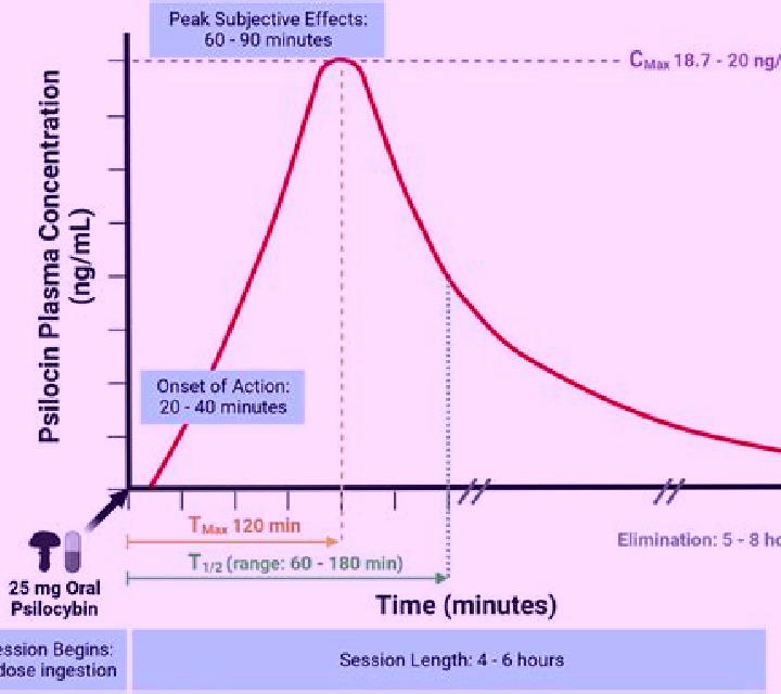Flagyl flagyl onset peak duration medication