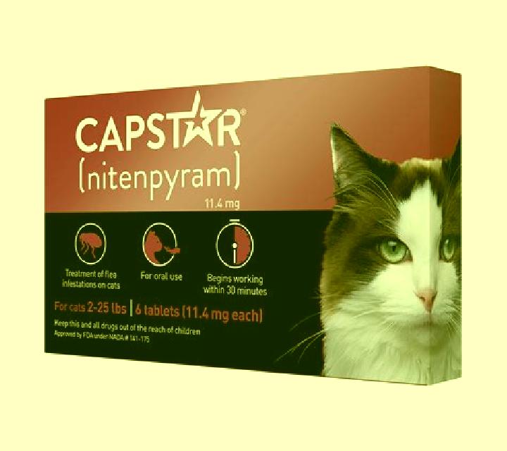 Flagyl mix capstar with flagyl tablet