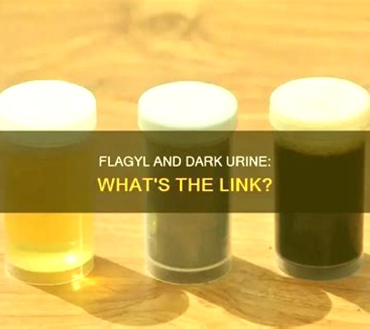 Flagyl why does flagyl make urine dark medication