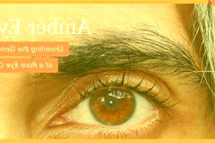 Kamagra kamagra jelly in china tablet