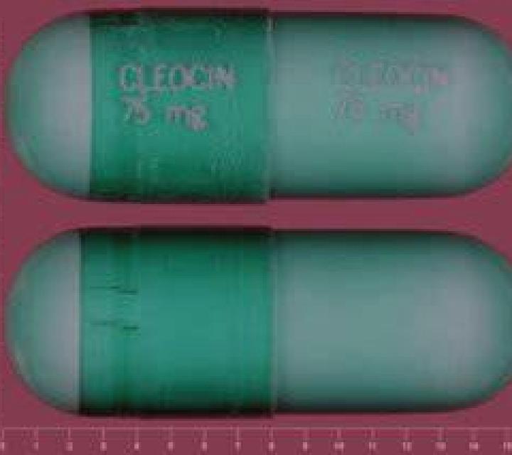 Kamagra kamagra order easy pharmacy