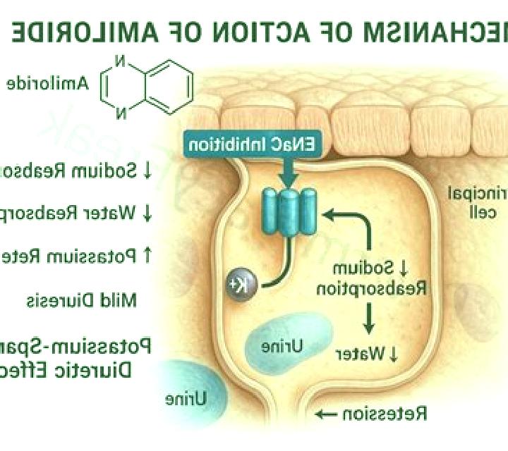 Lasix amiloride and lasix pharmacy