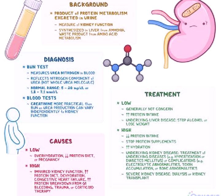 Lasix can lasix cause elevated creatinine tablet