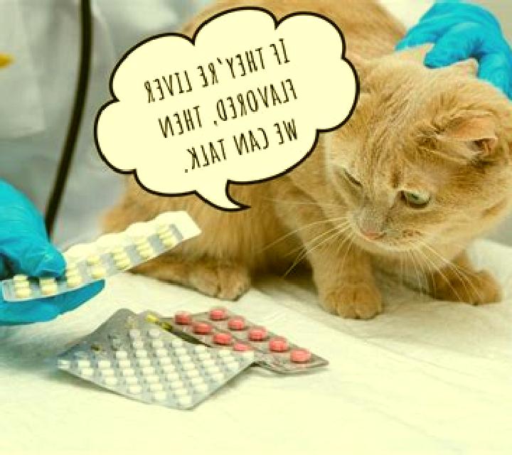 Lasix cat lasix pills