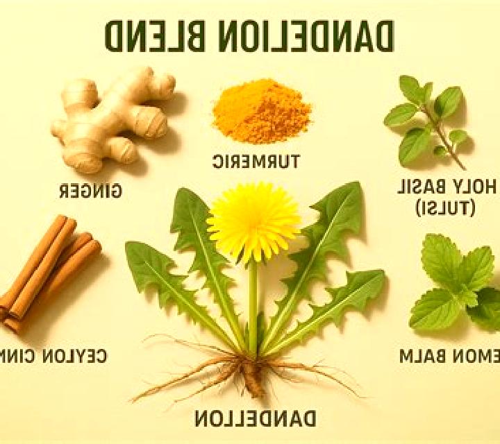 Lasix dandelion root vs lasix medication