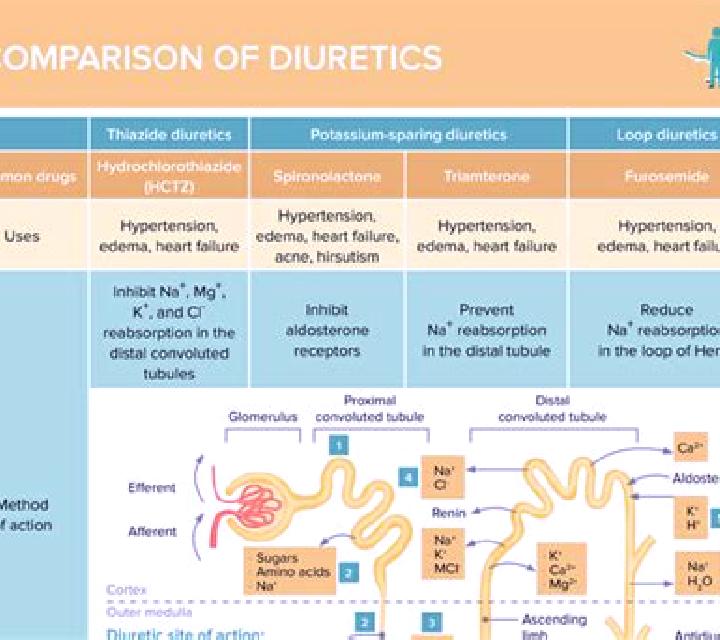 Lasix diuretics for lasix allergy pharmacy