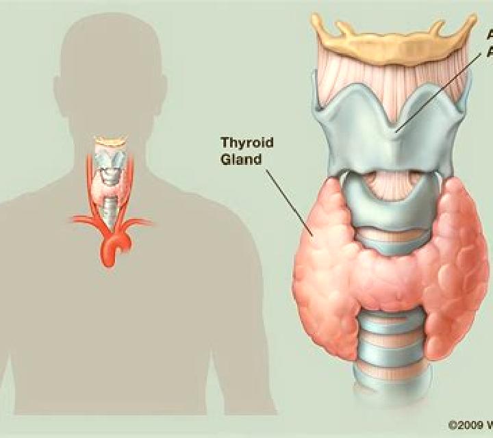 Lasix does lasix affect a thyroid workup test or doed aspirin pills