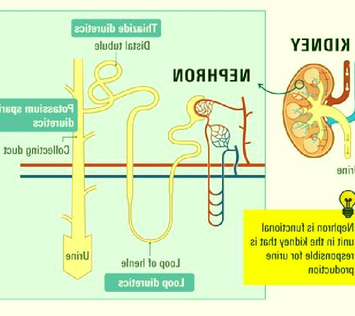 Lasix does lasix affect kidney function pills