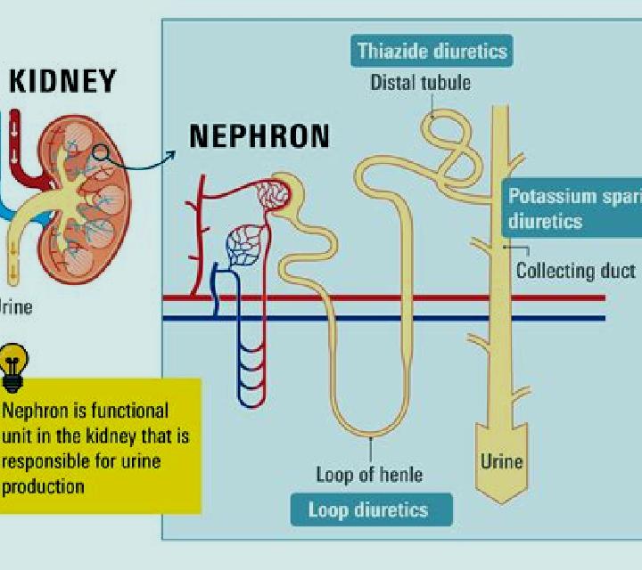 Lasix does lasix affect potassium levels medication