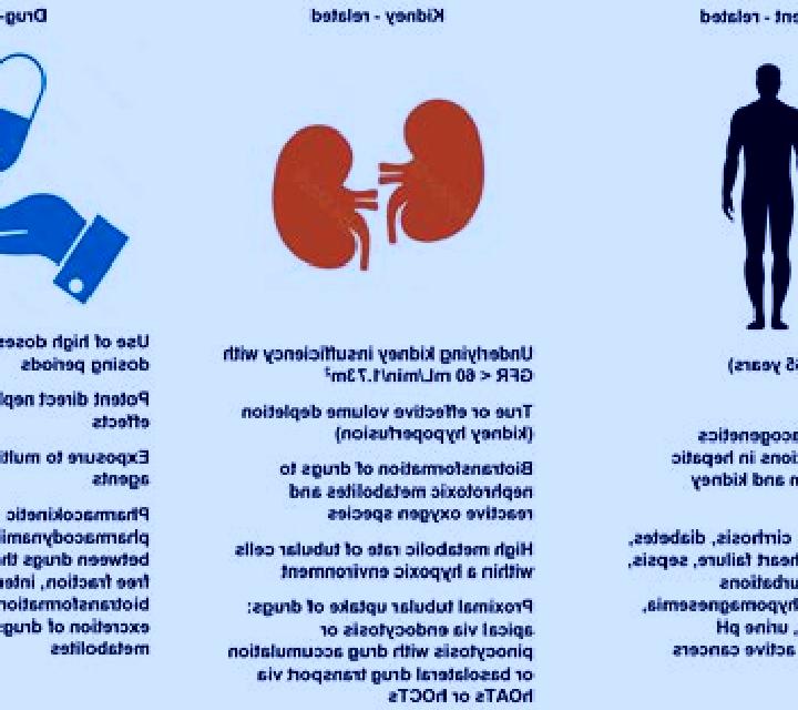 Lasix does lasix cause nephrotoxicity medication