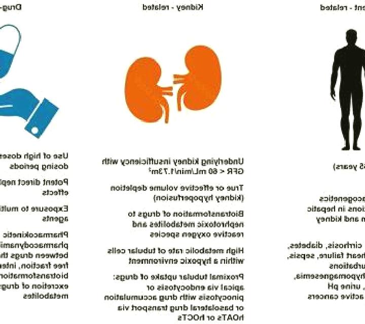 Lasix does lasix cause nephrotoxicity pills