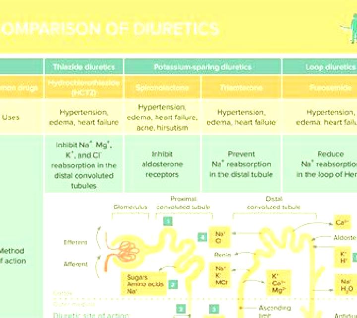 Lasix does lasix decrease bicarbonate pharmacy