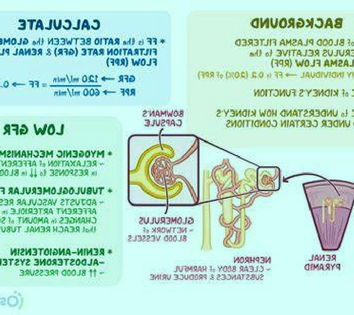 Lasix does lasix decrease gfr pharmacy