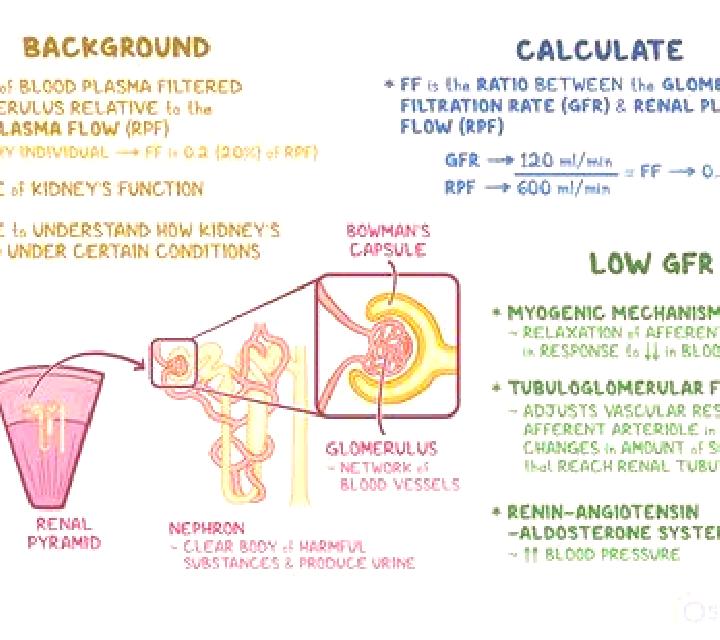 Lasix does lasix decrease gfr pills