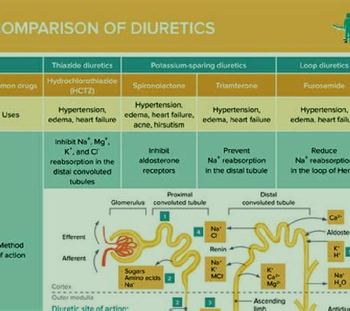 Lasix does lasix decrease potassium levels medication