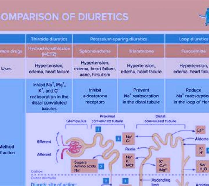 Lasix does lasix decrease total protein medication