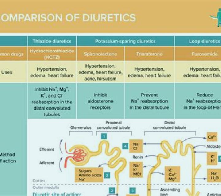 Lasix does lasix decrease your magnesium levels pharmacy