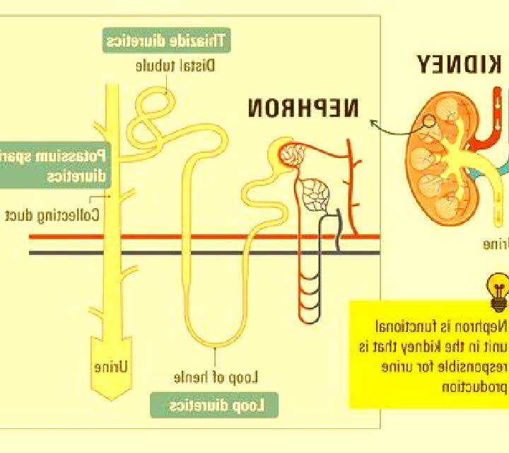 Lasix does lasix harm your kidneys medication