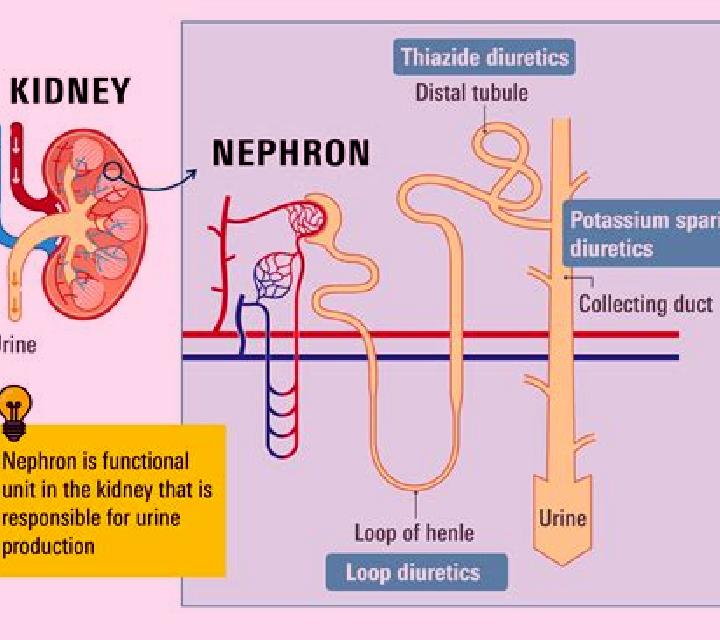 Lasix does lasix improve kidney function pharmacy