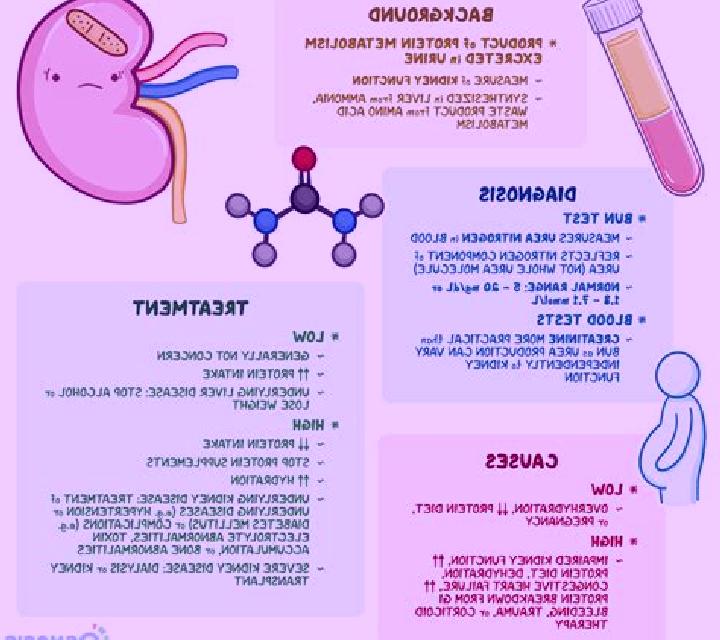 Lasix does lasix increase bun and creatinine pharmacy