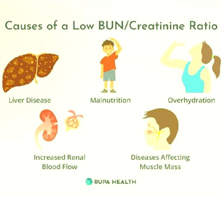 Lasix does lasix increase bun and creatinine tablet