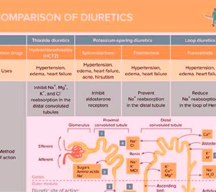 Lasix does lasix increase or decrease afterload pharmacy