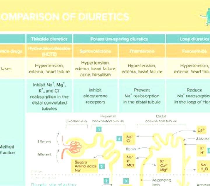 Lasix does lasix increase or decrease sodium medication