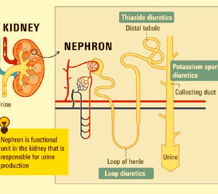 Lasix does lasix make kidney function worse medication