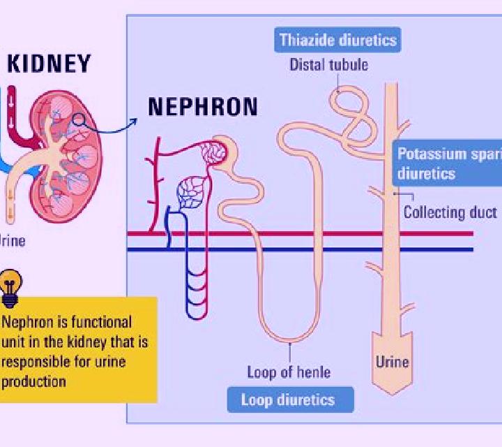 Lasix does lasix make kidney function worse pharmacy