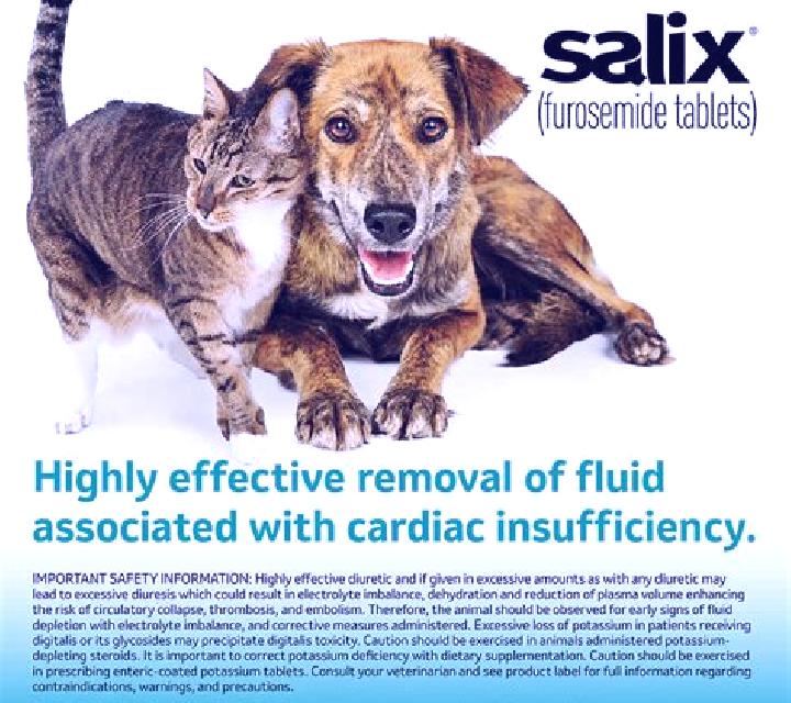Lasix dog on lasix pharmacy