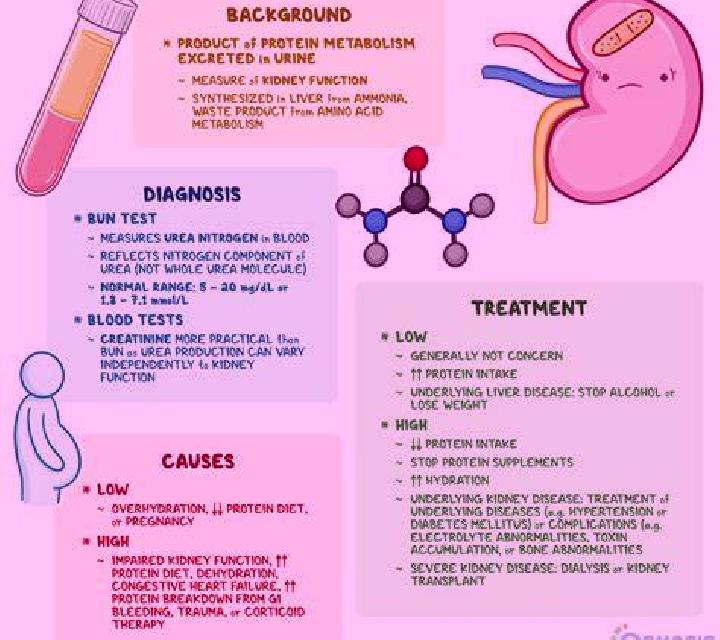 Lasix elevated creatinine on lasix pharmacy