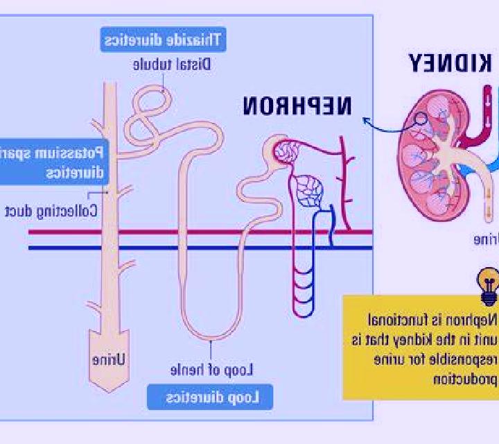 Lasix how does lasix affect the kidneys pharmacy