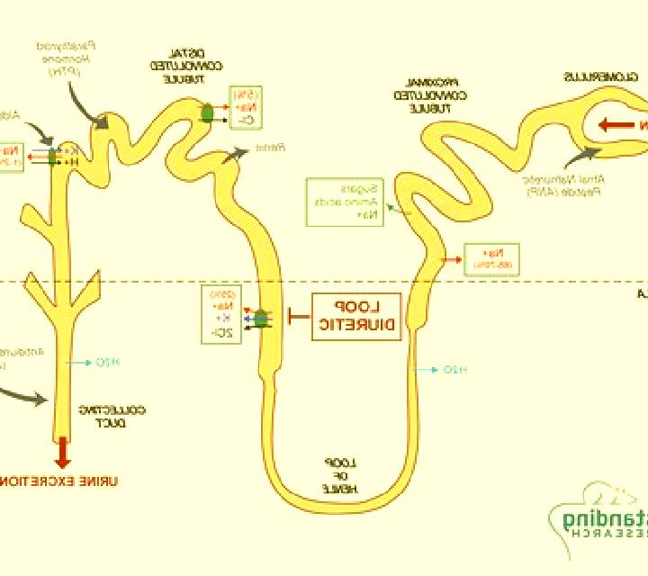 Lasix is lasix loop diuretic medication