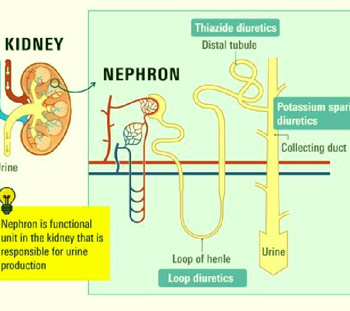 Lasix kidney function and lasix medication