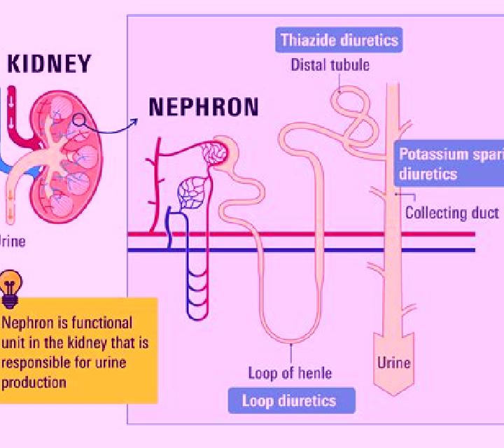 Lasix kidney function reduced by lasix pharmacy