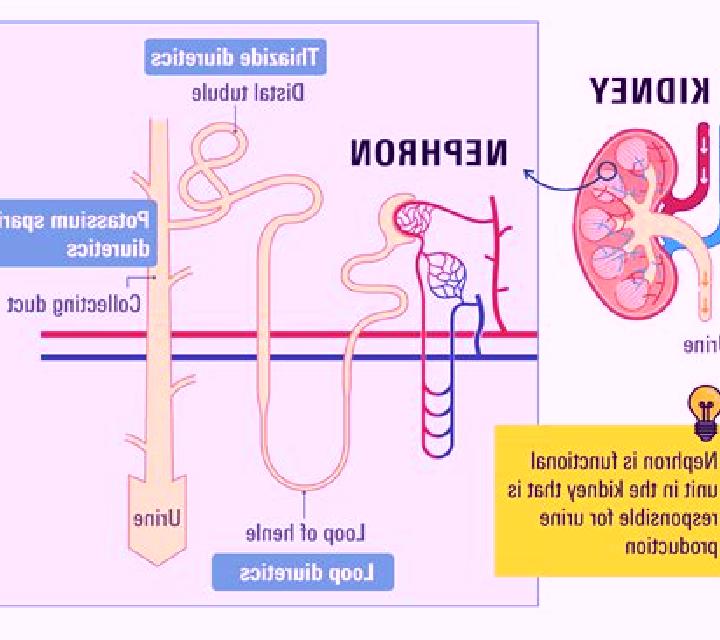 Lasix lasix and poor kidney function medication