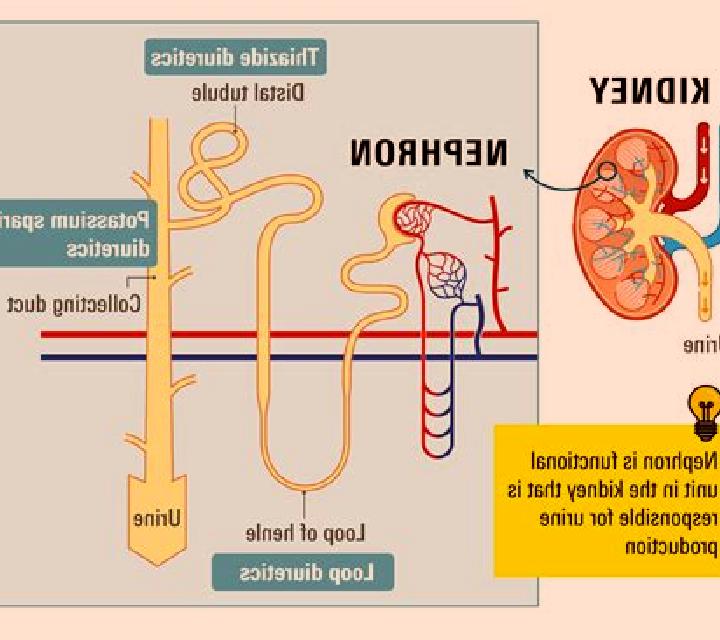 Lasix lasix can kidneys medication