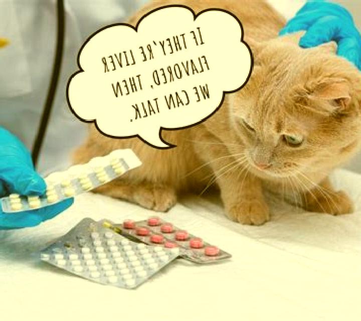Lasix lasix cat pills
