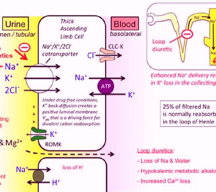 Lasix lasix causing alkalosis pills