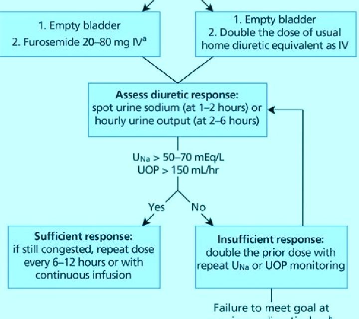 Lasix lasix classification loop diuretic tablet