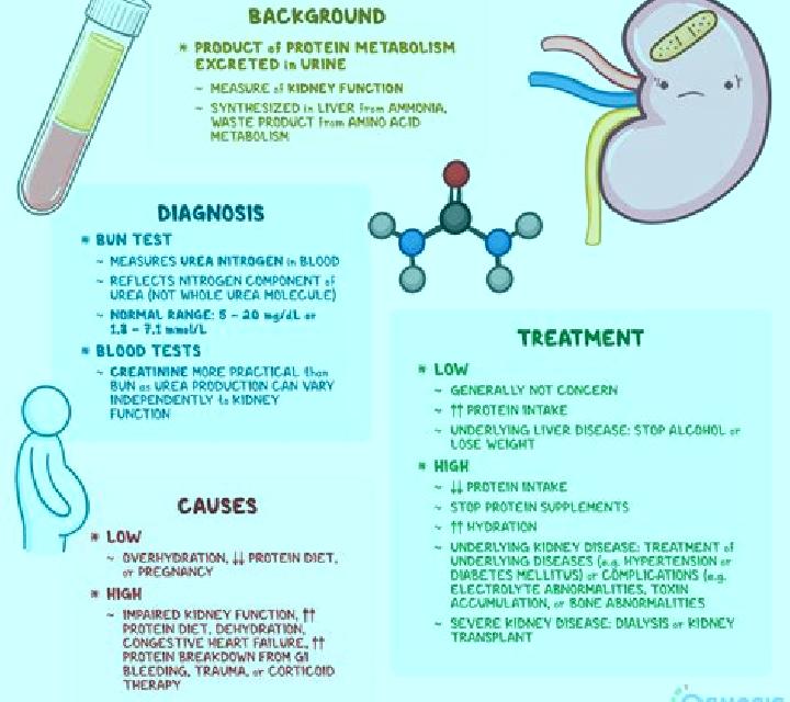 Lasix lasix decreases nitrogen medication
