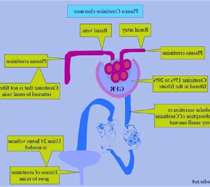 Lasix lasix elevated creatinine medication