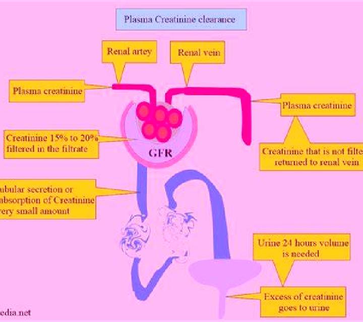 Lasix lasix with elevated creatinine medication