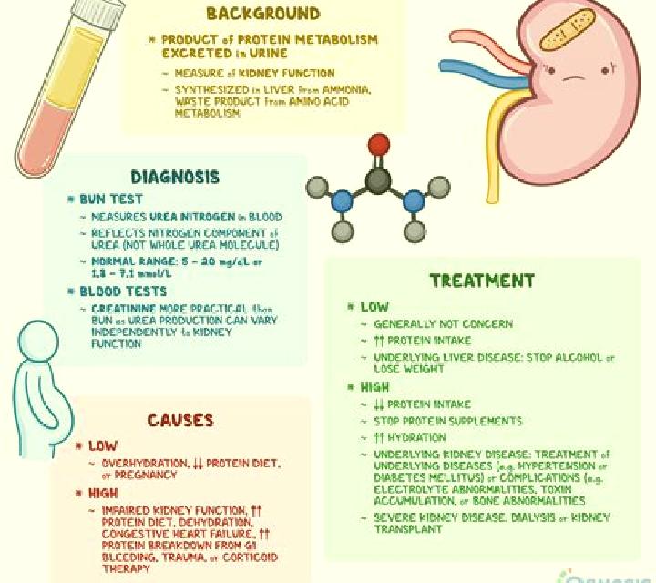 Lasix lasix with elevated creatinine pharmacy