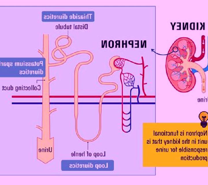 Lasix why give lasix between blood transfusions medication
