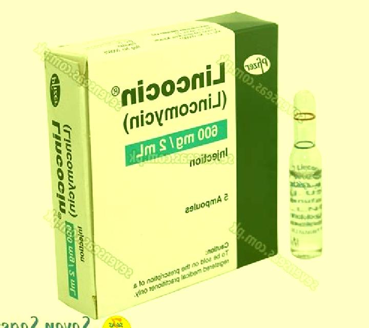 Lincocin medication