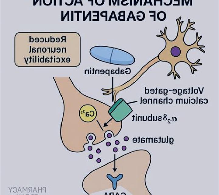 Neurontin how does neurontin work medication