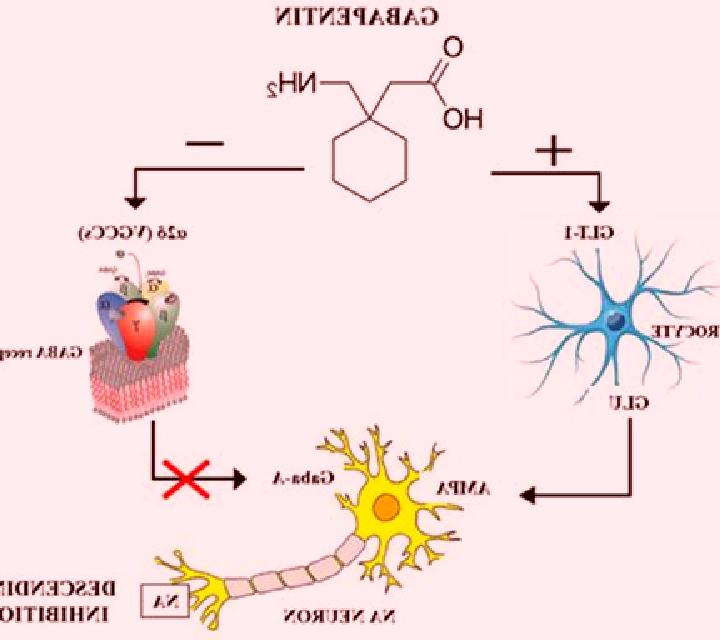 Neurontin neurontin effect on memory pharmacy